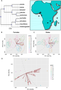 Long-term evolution of quantitative traits in the Drosophila melanogaster species subgroup.