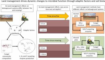 Land management drives dynamic changes to microbial function through edaphic factors and soil biota