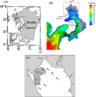 Winter bloom initiation with water column stabilization and improvement of light environment in a turbid shallow coastal water