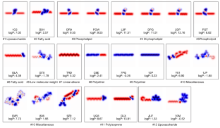 Efficient screening of protein-ligand complexes in lipid bilayers using LoCoMock score