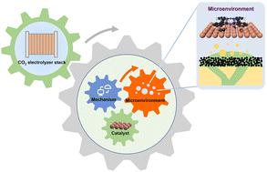 Reaction microenvironment control in membrane electrode assemblies for CO2 electrolysis