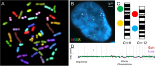 Chromosome instability and aneuploidy in the mammalian brain.