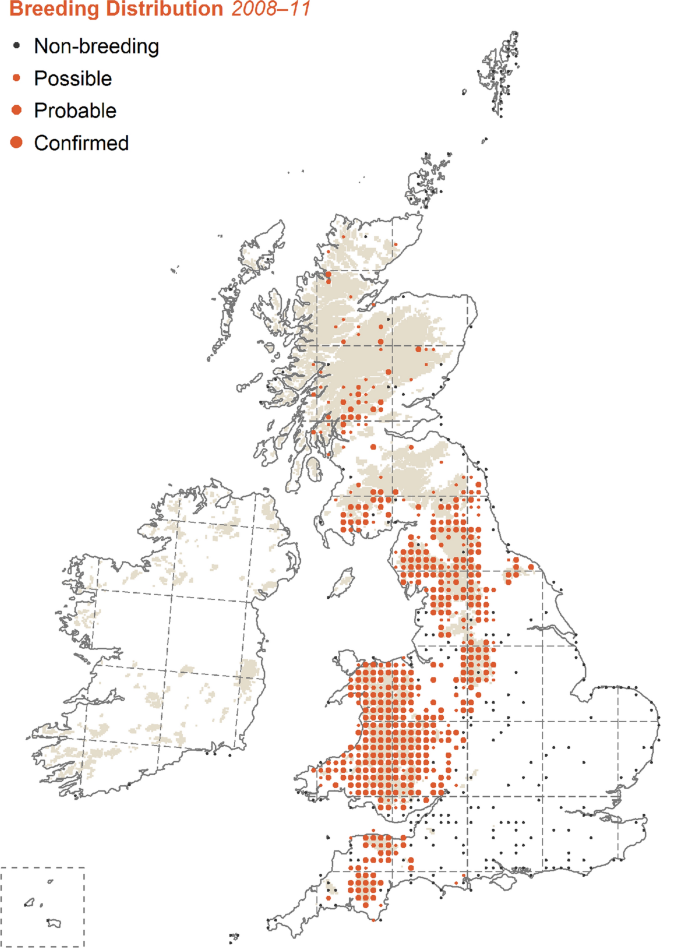 Generalism in nature: a community ecology perspective