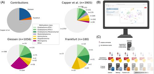 DistSNE: Distributed computing and online visualization of DNA methylation-based central nervous system tumor classification