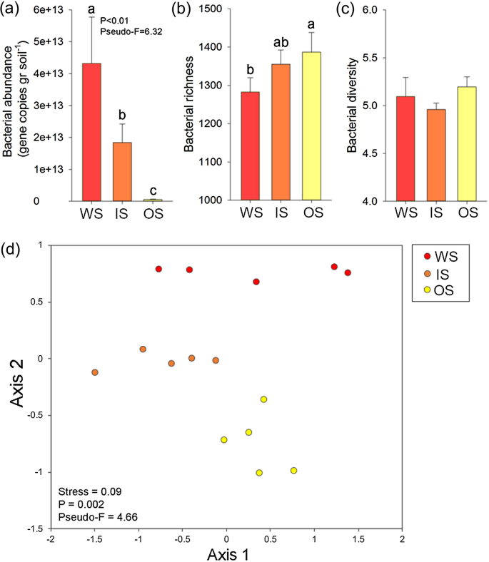 Different Cerrado Ecotypes Show Contrasting Soil Microbial Properties, Functioning Rates, and Sensitivity to Changing Water Regimes