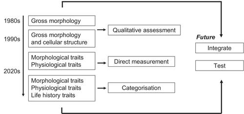 The untapped potential of categorical traits in seaweed functional diversity research