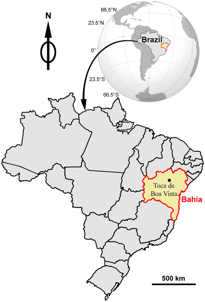 Description of a fetal skeleton of the extinct sloth Nothrotherium maquinense (Xenarthra, Folivora): Ontogenetic and palaeoecological interpretations