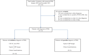 Progressive multifocal leukoencephalopathy: a retrospective study of the last 12 years in a tertiary-care hospital.