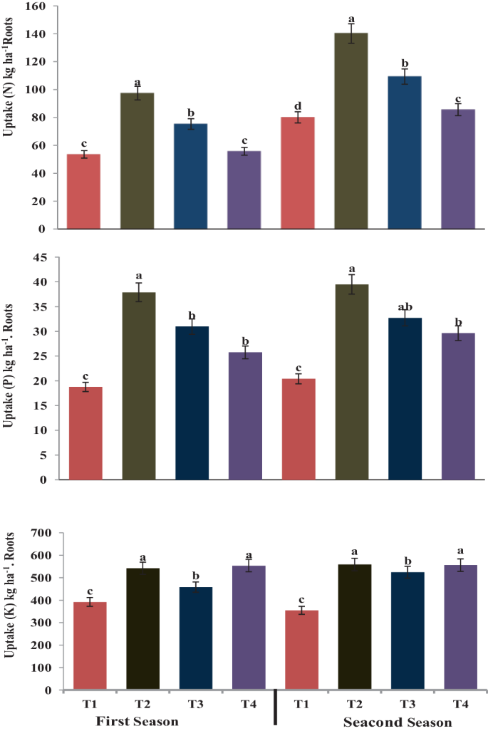 Phosphorus Sources and Sheep Manure Fertilization for Soil Properties Enhancement and Sugar Beet Yield