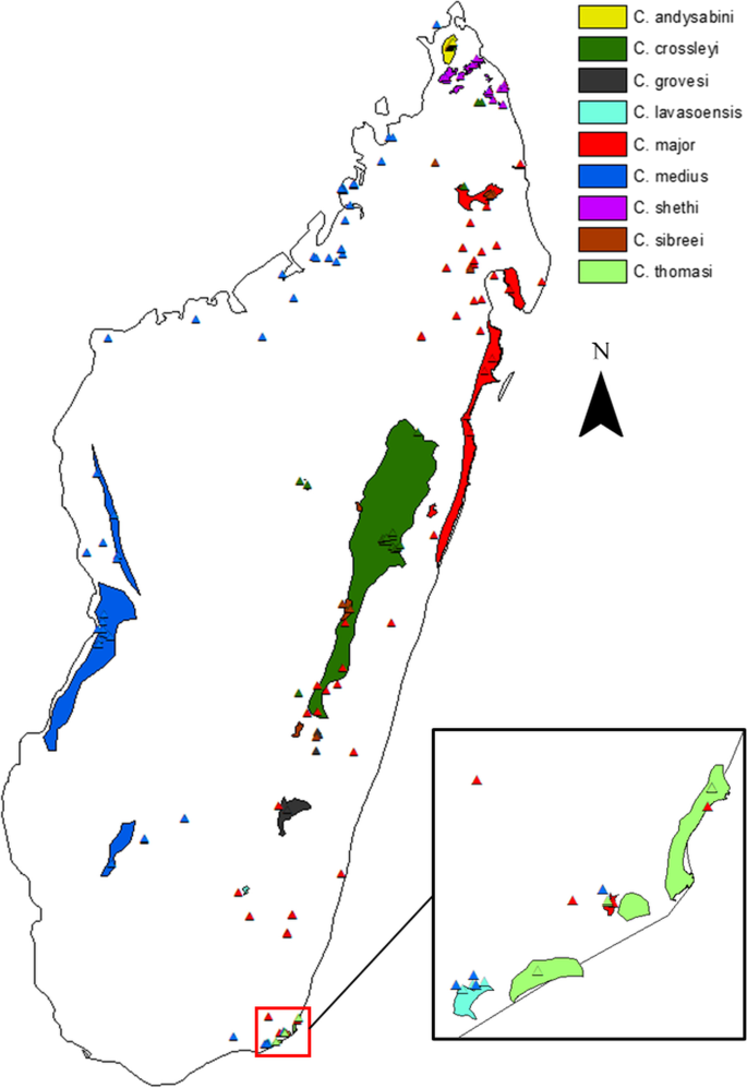 Conservation Biogeography of the Dwarf Lemurs (Cheirogaleus) of Madagascar, Investigated via Ecological Niche Modelling