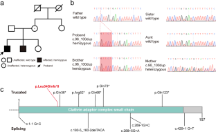 Identification of a 5 bp duplicate in the AP1S2 gene of an individual with X-linked intellectual disability