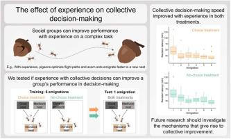 The effect of experience on collective decision-making