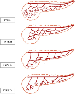 MDCT evaluation of Dorsal Pancreatic Artery and Intrapancreatic arcade anatomy.