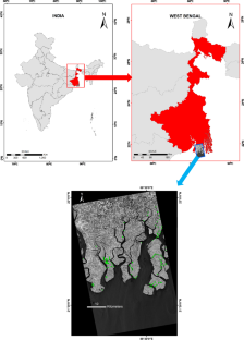 Modelling biophysical parameters of Indian Sundarbans mangroves using fully polarimetric L-band Synthetic Aperture Radar data and ground observations