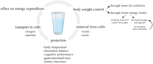 Water Consumption: Effect on Energy Expenditure and Body Weight Management.