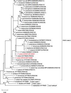 Deciphering β-tubulin gene of carbendazim resistant Fusarium solani isolate and its comparison with other Fusarium species