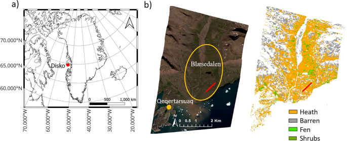 Short- and long-term plant and microbial uptake of 15N-labelled urea in a mesic tundra heath, West Greenland