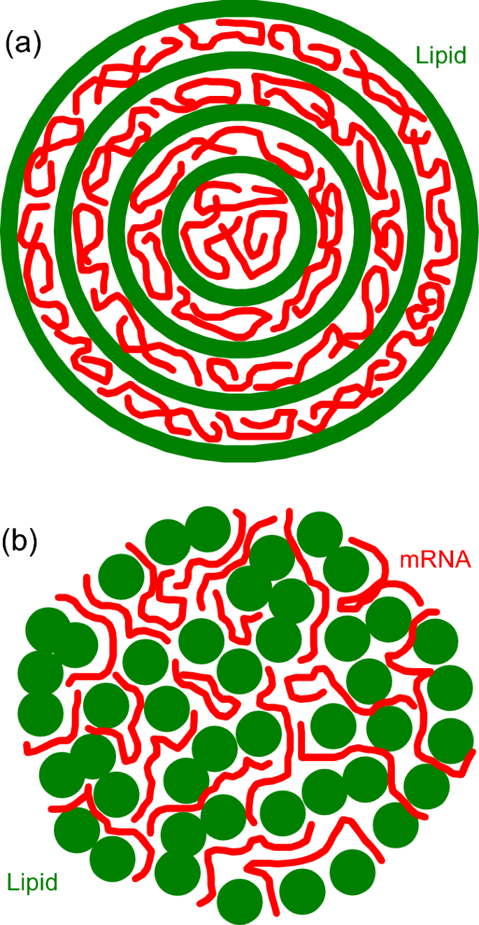 Ionizable lipids in bio-inspired nanocarriers