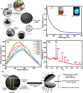 Carbon Dots derived from Ocimum sanctum for dapsone–protein interactions: a quantitative approach