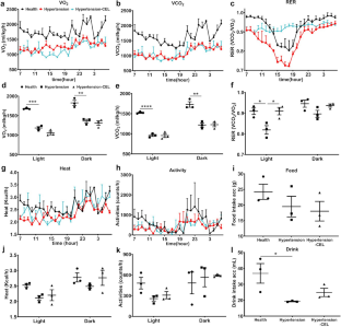 Celastrol ameliorates energy metabolism dysfunction of hypertensive rats by dilating vessels to improve hemodynamics