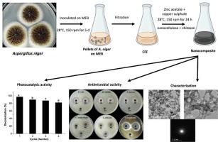 A novel nanocomposite based on mycosynthesized bimetallic copper-zinc nanoparticles, nanocellulose and chitosan: Characterization, antimicrobial and photocatalytic activities