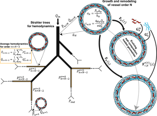 A computational growth and remodeling framework for adaptive and maladaptive pulmonary arterial hemodynamics