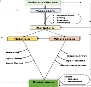 Marketers’ Conduct and Profitability as a Response to Sustainable Livelihood: The Example of Bush Mango Kernels (Irvingia spp.) in Ondo State, Nigeria