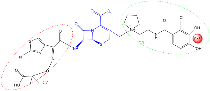 Clinical Appraisal of Cefiderocol in the Treatment of Non-fermenting Gram-Negative Bacilli