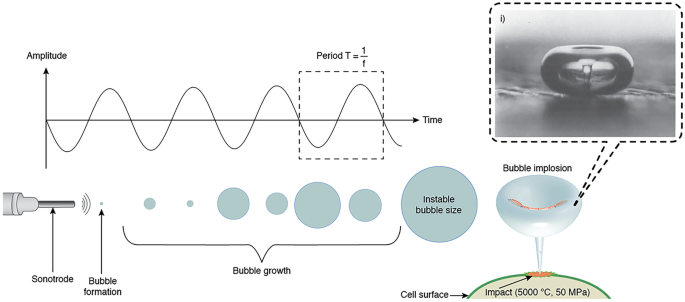 Processing Technologies for the Extraction of Value-Added Bioactive Compounds from Tea