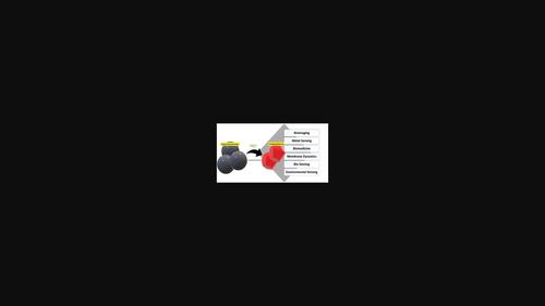 Carbon Dot‐Based Fluorescence Resonance Energy Transfer (FRET) Systems for Biomedical, Sensing, and Imaging Applications