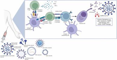 The impact of COVID-19 on cancer patients