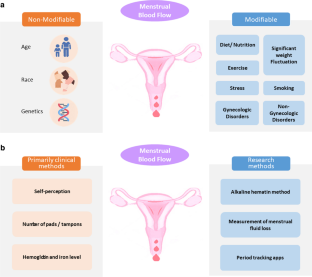 Determinants and Assessment of Menstrual Blood Flow