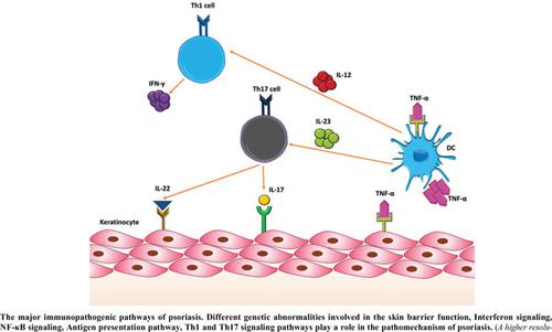 Etiopathogenesis of Psoriasis from Genetic Perspective: An updated Review.