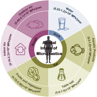 Human Microplastics Exposure and Potential Health Risks to Target Organs by Different Routes: A Review