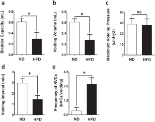 SKA-31-induced activation of small-conductance calcium-activated potassium channels decreased modulation of detrusor smooth muscle function in a rat model of obesity