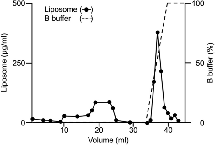 Chromatographic purification of small extracellular vesicles using an affinity column for phospholipid membranes.