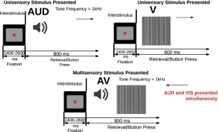 Multi-Subject Analysis for Brain Developmental Patterns Discovery via Tensor Decomposition of MEG Data.