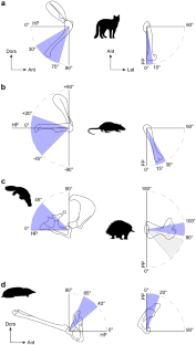 Unravelling the postural diversity of mammals: Contribution of humeral cross-sections to palaeobiological inferences