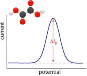 Electroanalytical Overview: The Electroanalytical Detection of Oxalate