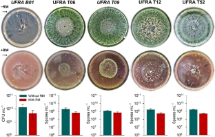 Photosynthetic performance and root architecture of soybean co-inoculated with Amazonian microorganism strains are influenced by red mud application