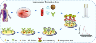 Electrochemical Immunosensor Based on Al-TCPP Nanomaterial Adsorption Aggregation Signal Amplification for the Detection of Dengue Virus NS1 Protein