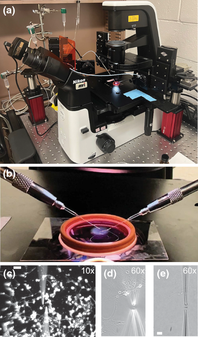 A Versatile Micromanipulation Apparatus for Biophysical Assays of the Cell Nucleus.