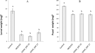 Bermudagrass plants endophytically colonized with Metarhizium anisopliae isolates reduces the biological performance of fall armyworm