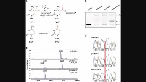 A Quantitative Sequencing Method for 5-Formylcytosine in RNA