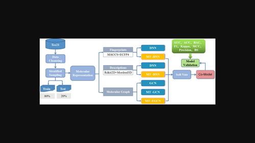 Co-model for chemical toxicity prediction based on multi-task deep learning.