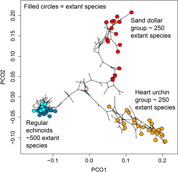 Evolvability and Macroevolution: Overview and Synthesis