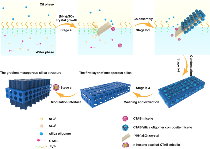 Interfacial co-assembly strategy towards gradient mesoporous hollow sheet for molecule filtration