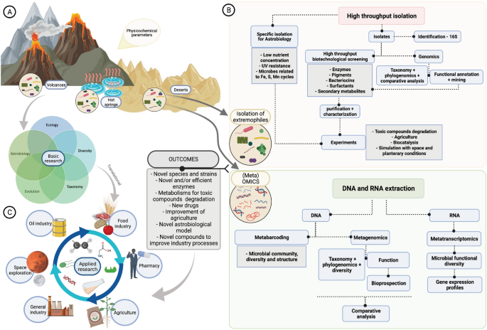 Life on the Edge: Bioprospecting Extremophiles for Astrobiology