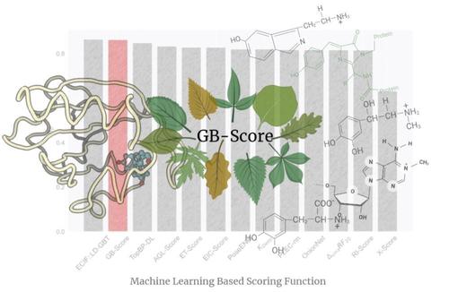 GB-score: Minimally designed machine learning scoring function based on distance-weighted interatomic contact features.