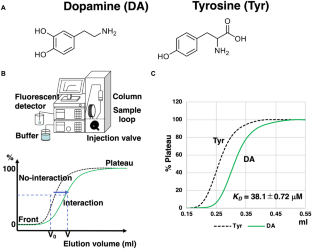 Interactions between polysialic acid and dopamine-lead compounds as revealed by biochemical and in silico docking simulation analyses.